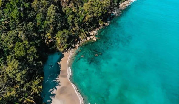 Why a Wildlife Safari in Manuel Antonio National Park Changes How You See Costa Rica (And Yourself) Cover