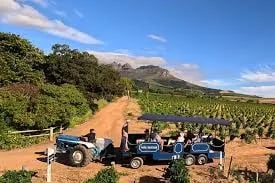 Beyond the Grapevine: Stellenbosch Group Adventures and the Secret Sauce of Seamless Travel Cover