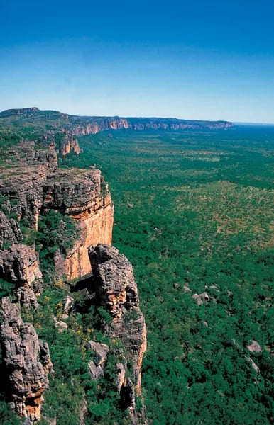 Cutting Through the Wild: Behind the Scenes of Kakadu National Park Safaris Cover