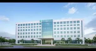 Unexpected Healing: Why Medical Tourism in Indonesia is About More Than Hospitals Cover