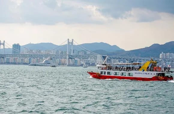 Navigating Busan Like a Pro: Unexpected Joys and Insider Tips for Cruise Travelers Cover