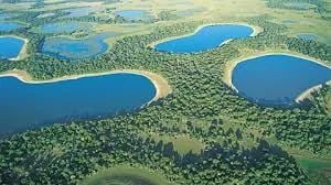 Venturing Into the Pantanal: The Ultimate Guide to Brazil's Wild Haven and Beyond Cover