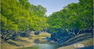 Navigating the Wild Heart: An Immersive Sundarbans Safari Experience Cover