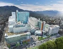 More Than Medicine: How Busan Blends World-Class Healthcare with Coastal Soul for Medical Tourists Cover