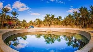 Healing Beyond Borders: How Destination Management Companies Transform Medical Tourism in Aswan Cover