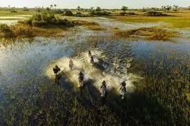Exploring the Okavango Delta: A Technological and Safari Adventure Cover
