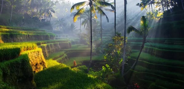 Behind the Scenes of Group Travel: How Indonesia’s Destination Management Companies Shape Unforgettable Adventures Cover