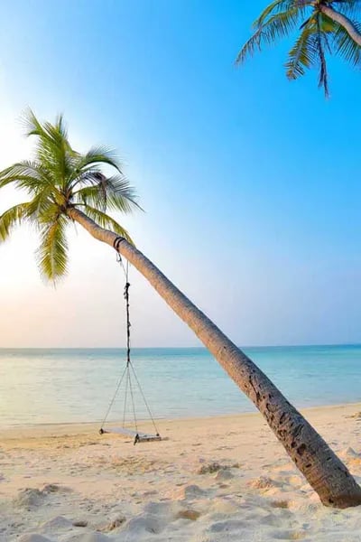 Unveiling Thailand’s Hidden Wonders: Why Local DMC Partnerships Redefine Travel Planning Cover