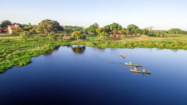 Uncharted Wonders: Why the Pantanal is Brazil’s Best-Kept Wildlife Safari Secret Cover